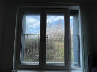 Picture 9